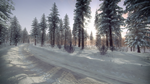 DiRT Rally 2.0 - Sweden (Rally Location) DLC * STEAM*