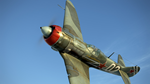 IL-2 Sturmovik: La-5F series 38 Collector Plane DLC