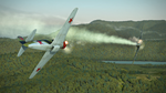 IL-2 Sturmovik: Yak-9 Series 1 Collector Plane DLC