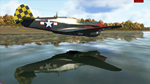 IL-2 Sturmovik: P-40E-1 Collector Plane DLC * STEAM*