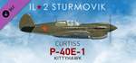 IL-2 Sturmovik: P-40E-1 Collector Plane DLC * STEAM*