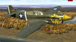 IL-2 Sturmovik: P-40E-1 Collector Plane DLC * STEAM*