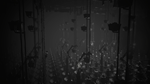 White Shadows * STEAM РОССИЯ*