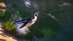 Planet Zoo: Africa Pack DLC * STEAM РОССИЯ*