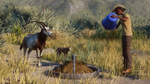 Planet Zoo: Conservation Pack DLC * STEAM РОССИЯ*