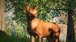 Planet Zoo: Southeast Asia Animal Pack DLC * STEAM*
