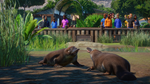 Planet Zoo: Wetlands Animal Pack DLC * STEAM РОССИЯ*