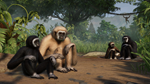 Planet Zoo: Tropical Pack DLC * STEAM РОССИЯ*