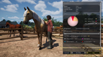 Unbridled: That Horse Game * STEAM РОССИЯ*