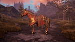 Supporters Pack DLC * STEAM RU*KZ*UA*СНГ*