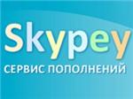 Карта оплаты skype