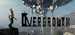Overgrowth*NO RU/NO KZ***Steam Key***Автовыдача**