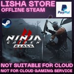 NINJA GAIDEN 2 Black Steam Offline Paypal
