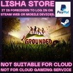 Grounded Steam Offline Paypal