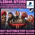 Divinity: Original Sin 2 Steam Offline Paypal