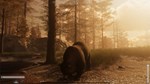 *The WILDS**АВТОВЫДАЧА**STEAM GIFT*
