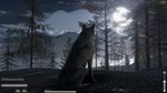 *The WILDS**АВТОВЫДАЧА**STEAM GIFT*