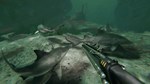 *Death in the Water 2**АВТОВЫДАЧА**STEAM GIFT*