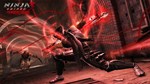 *[NINJA GAIDEN: Master Collec**АВТОВЫДАЧА**STEAM G