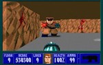 *Wolfenstein 3D**АВТОВЫДАЧА**STEAM GIFT*
