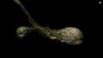 *Samorost 2**АВТОВЫДАЧА**STEAM GIFT*