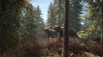 *theHunter: Call of the Wild™**АВТОВЫДАЧА**STEAM G