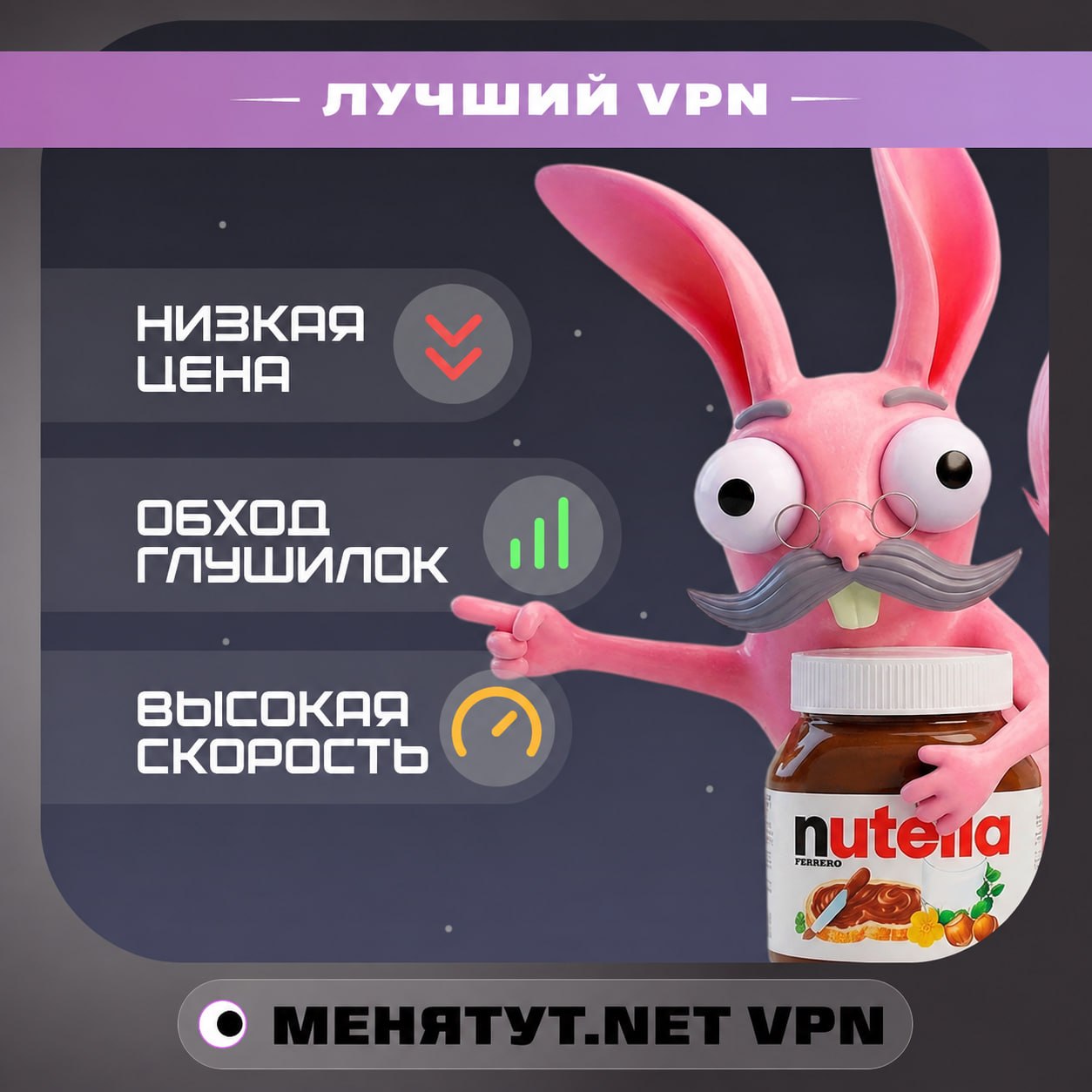 VPN with Whitelist Bypass (8 Countries) – VLESS, Hysteria photo 1