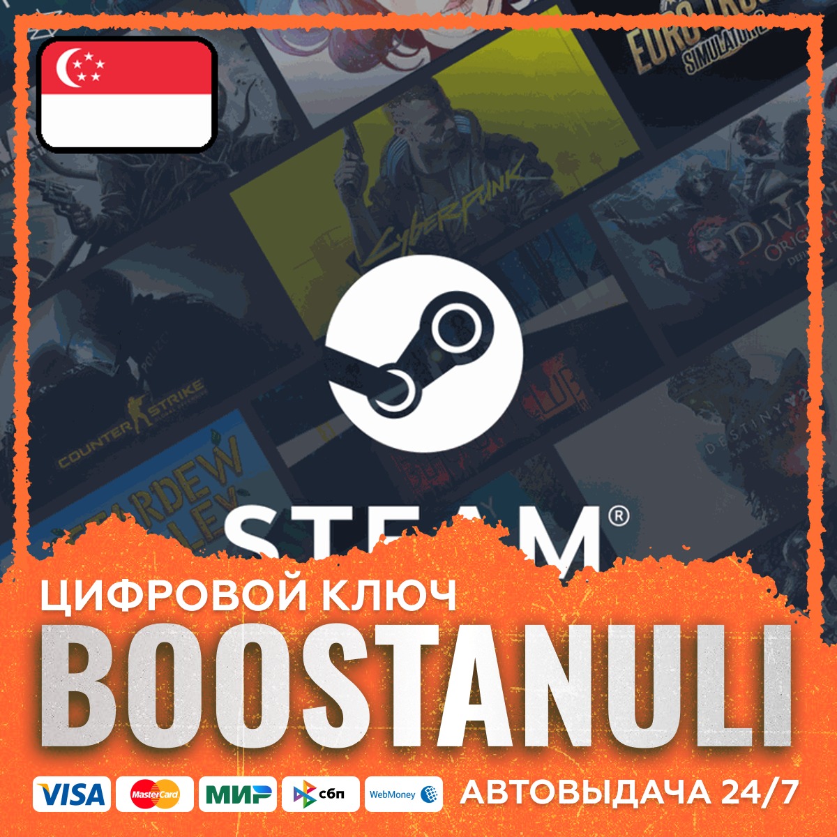 Steam Wallet Code (SG) — code photo 1