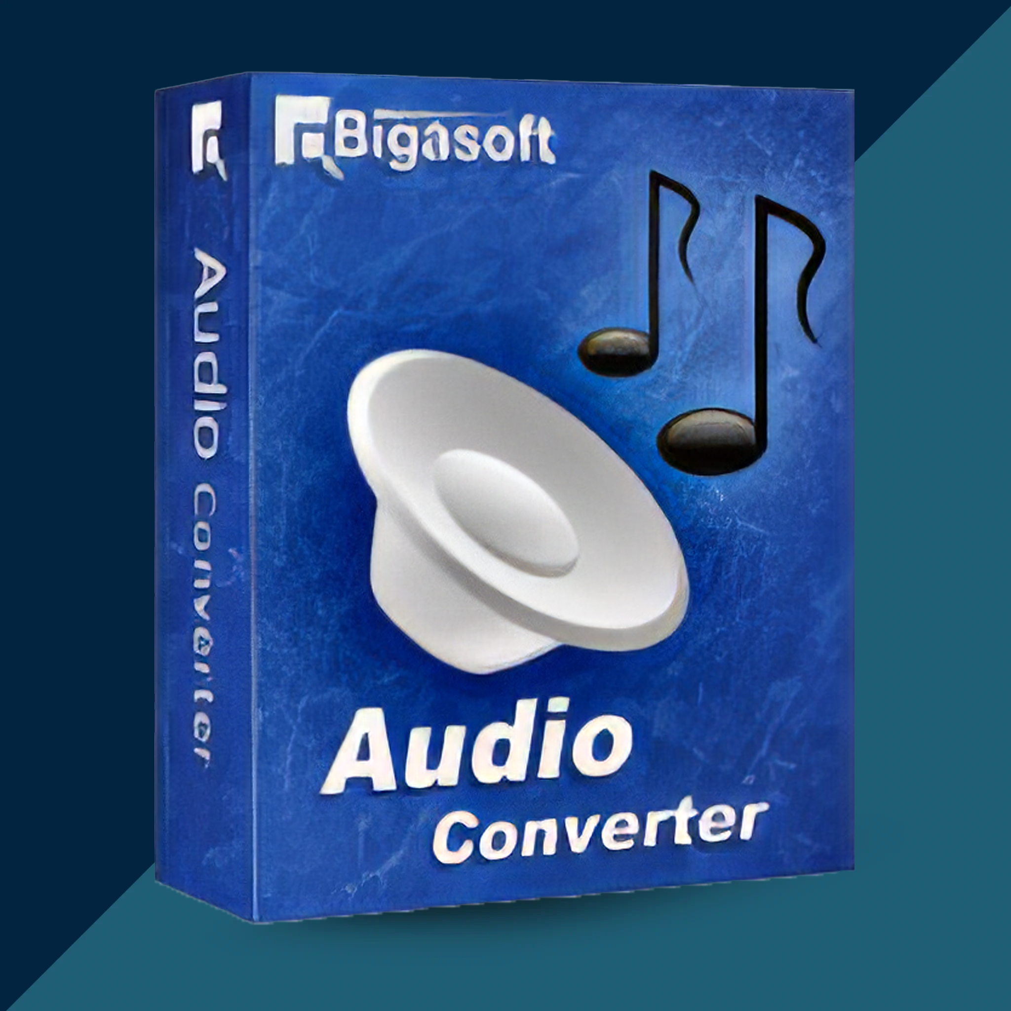 Bigasoft Audio Converter 2026 (Lifetime / 1 PC) Key photo 1