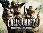 Call of Juarez: Bound in Blood (GLOBAL Steam KEY) - irongamers.ru