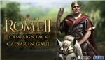 Total War: Rome II: DLC Caesar in Gaul + GIFT