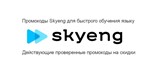 Skyeng ⚡ промокод до 3 вводных уроков бесплатно Скайенг