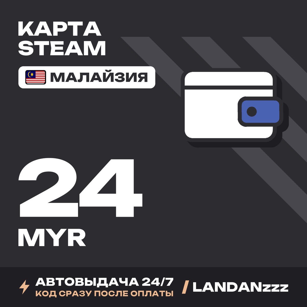 Steam 24 MYR | Code | Malaysia | Auto-delivery 24/7 photo 1