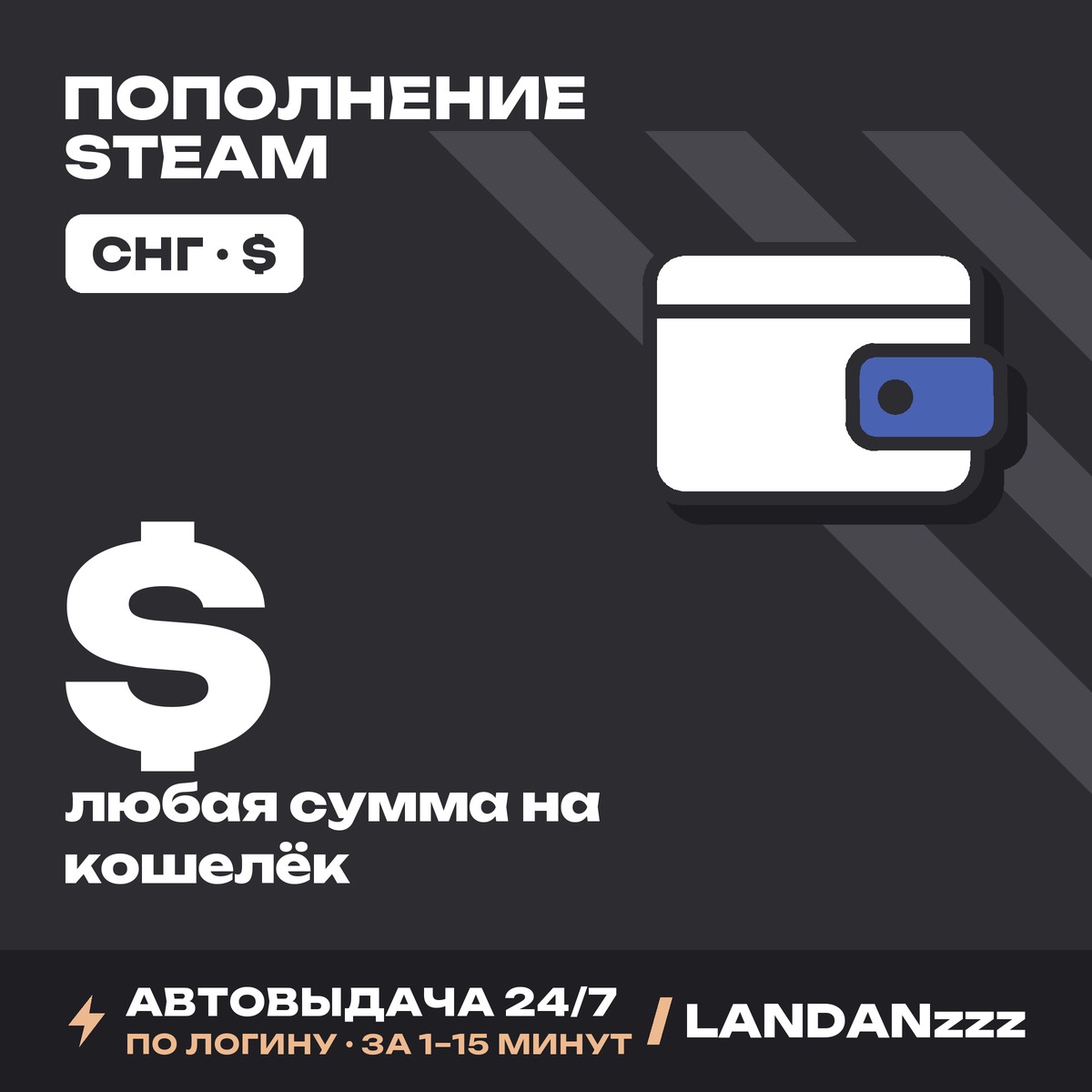Steam Wallet Top-up | By login | CIS, USD $ | Any amount | Auto-delivery 24/7 photo 1