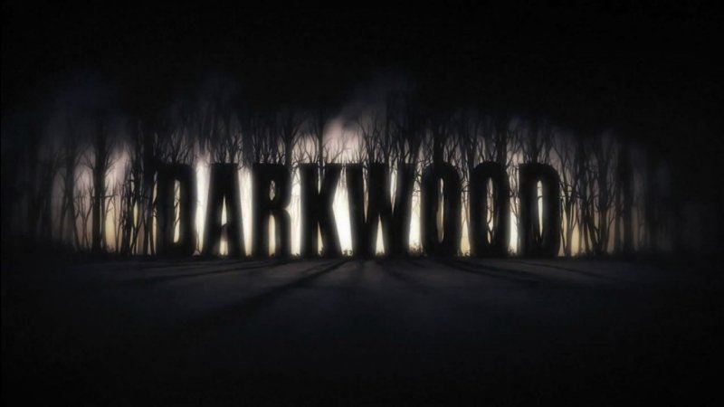 Darkwood (RU/CIS activation; Steam gift)
