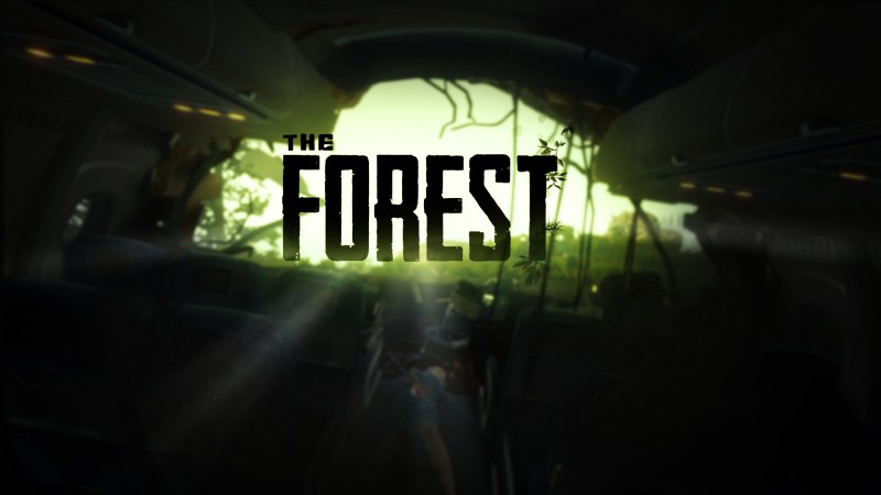 The Forest (RU/CIS activation; Steam gift)