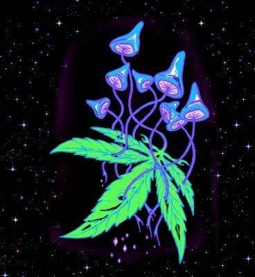 drugs