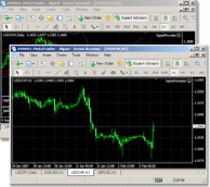Советник SignalCopy 100% работает