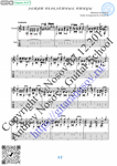 Flying Migratory Birds (Sheet music and tabs for guitar
