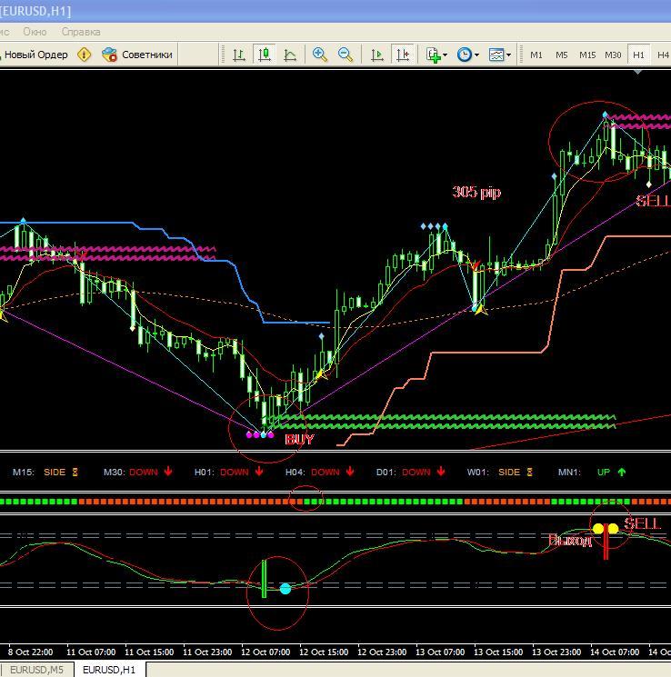 Forex steam v5 download