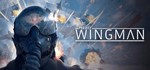 Project Wingman - Steam Access OFFLINE