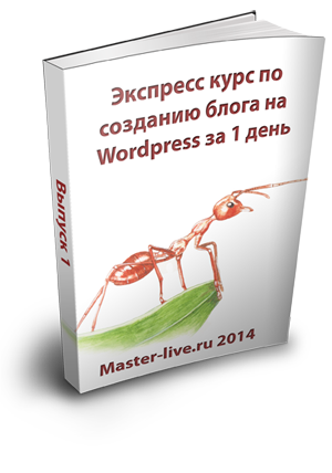 Экспресс курс по созданию блога WordPress за 1 день