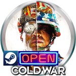 ☩ Call of Duty: Black Ops Cold War  | STEAM 24 часа ПК