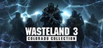 Wasteland 3 Colorado Collection💳Steam без активаторов