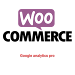 WP woocommerce-google-analytics-pro перевод на русский
