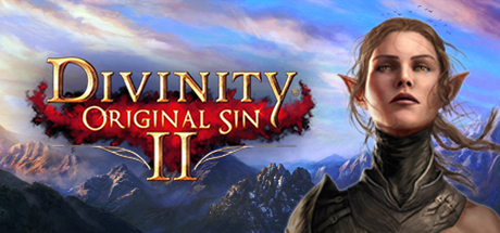 Divinity: Original Sin 2 (Steam | RU+Gift)