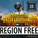 PUBG: BATTLEGROUNDS [PLUS] paid version +EMAIL 10 Years