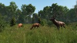 DayZ Livonia Edition новый аккаунт (Region Free) +EMAIL - irongamers.ru