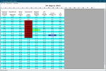 Patient appointment program