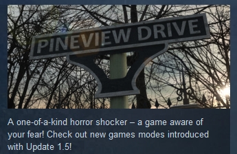 Pineview Drive ( Steam Key / Region Free ) GLOBAL ROW
